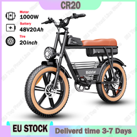 Ridstar Electric Bicycle 1000W Powerful Motor 48V20AH Removable Battery Electric Bike All Terrain 20 Inch Fat Tire Adult E-bike
