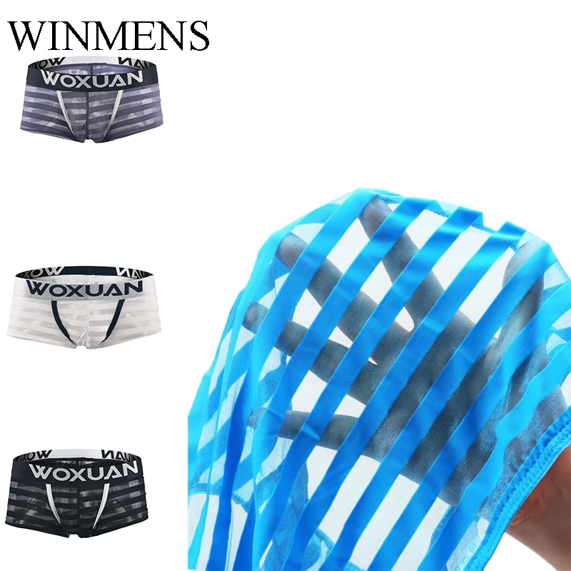 

Adult Men's Transparent Mesh Trunks Underwear Solid Horizontal See Inner Gay Sissy Sexy Boxer Briefs Ultra Thin Silky Panties