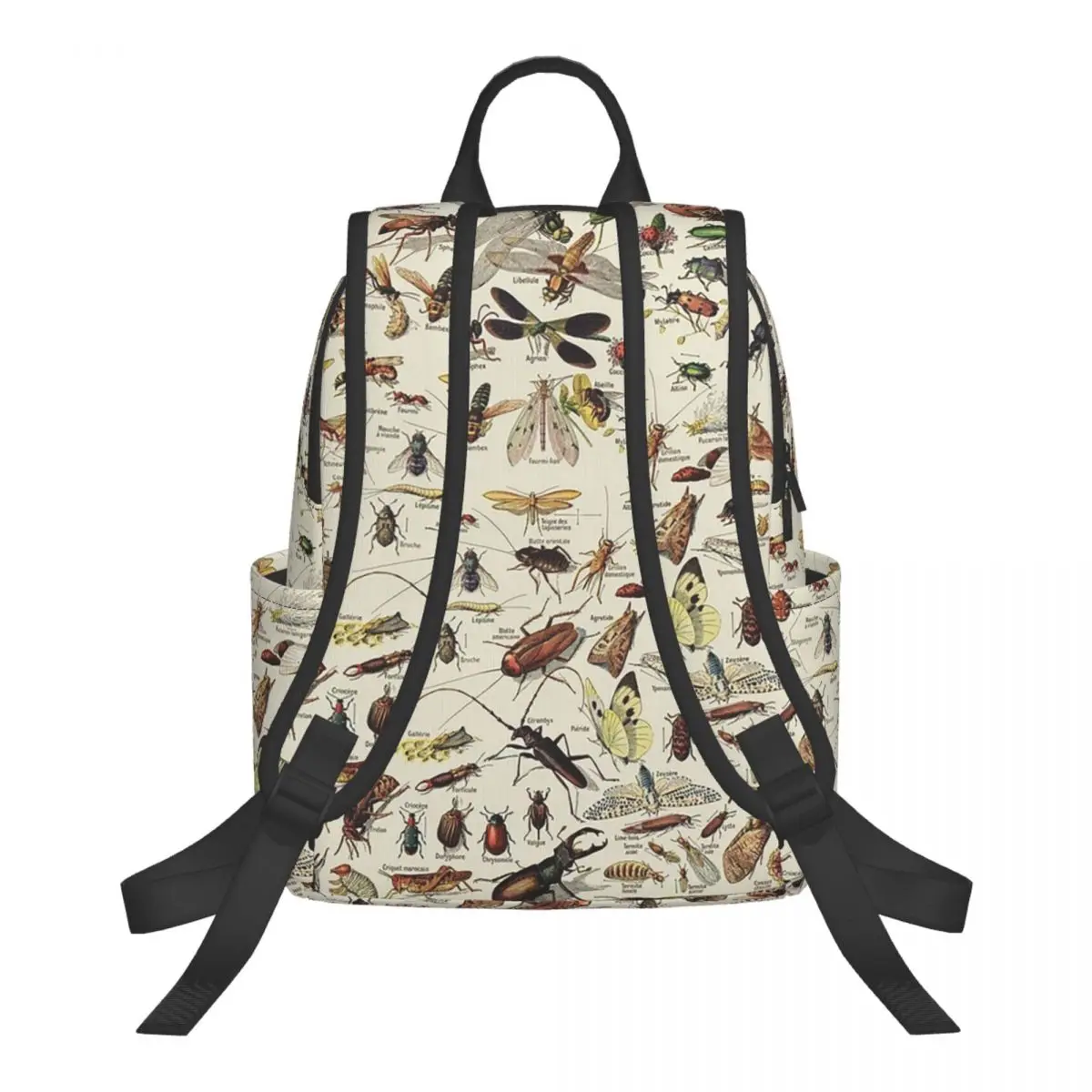 Insects Chart. Scientific Illustration, Text In French Student Backpack School Bag Hiking Travel Daypack for Men Women Bookbag