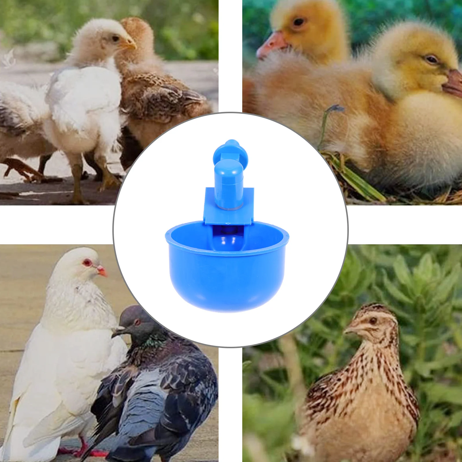 

12Pcs Automatic Chicken Waterer Durable Plastic Feeders for Poultry Farm Large Capacity Multi-Function Accessories