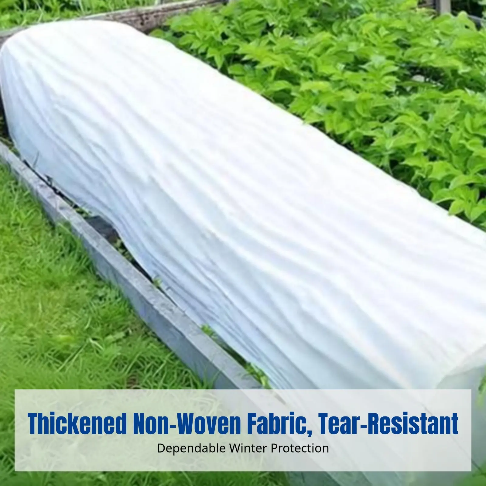 

Winter Tree Freeze Blanket, Thick Non-Woven Insulation, Garden Vegetable Cold Protection