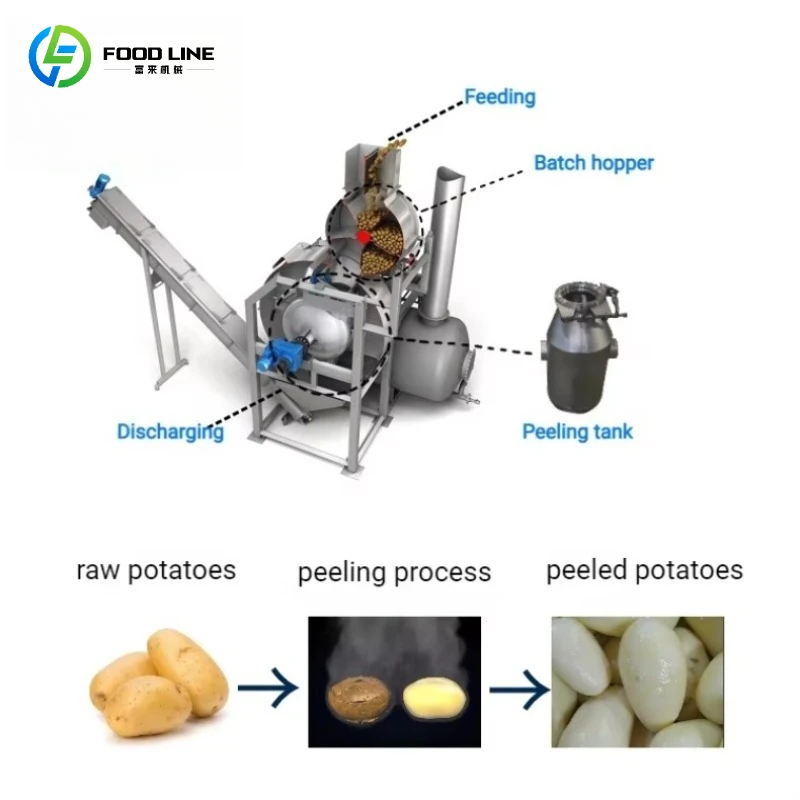 Customizable High-efficiency Potato, Tomato, Carrot and Beetroot Steaming and Peeling Production Line