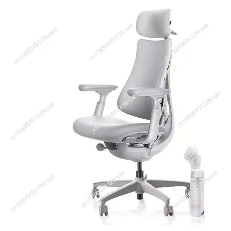 Relaxing Dynamic Ergonomic Chair Human Body Ergonomic Chair Computer
