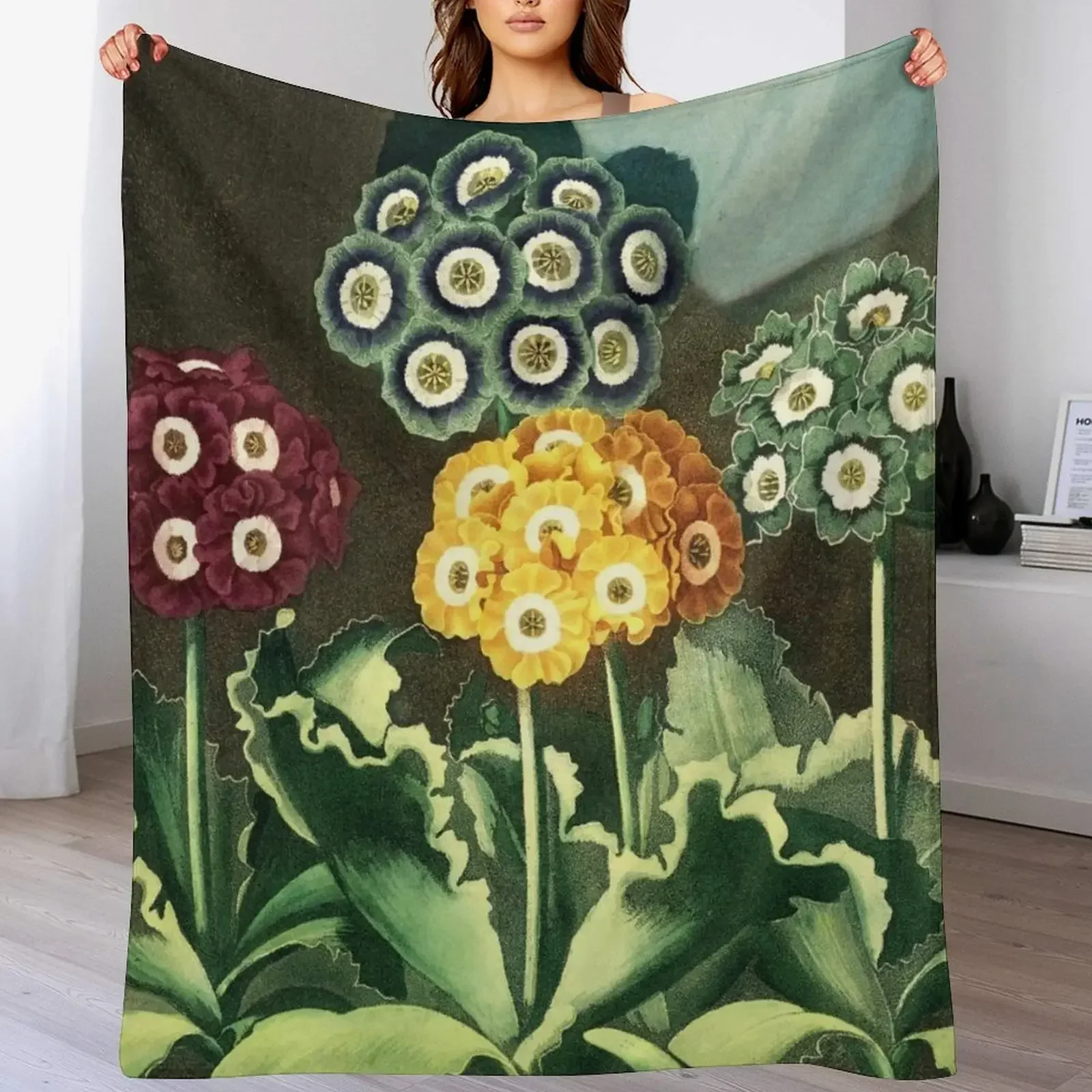 Colorful Auriculas - The Temple of Flora Botanical Throw Blanket warm winter Multi-Purpose Luxury Throw Blankets