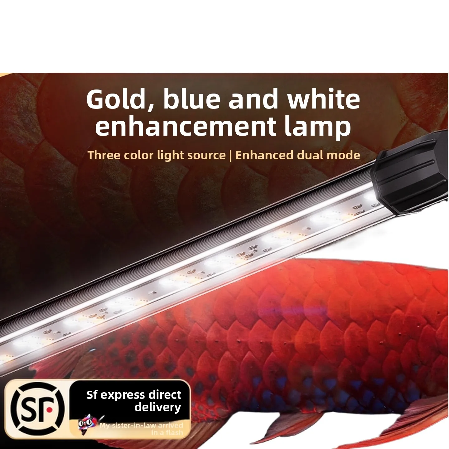 LED Light Strip for Fish Tank - Amphibious Aquarium Lighting Sunlight & Moonlight for Ornamental Arowana - Enhances Fish Color G
