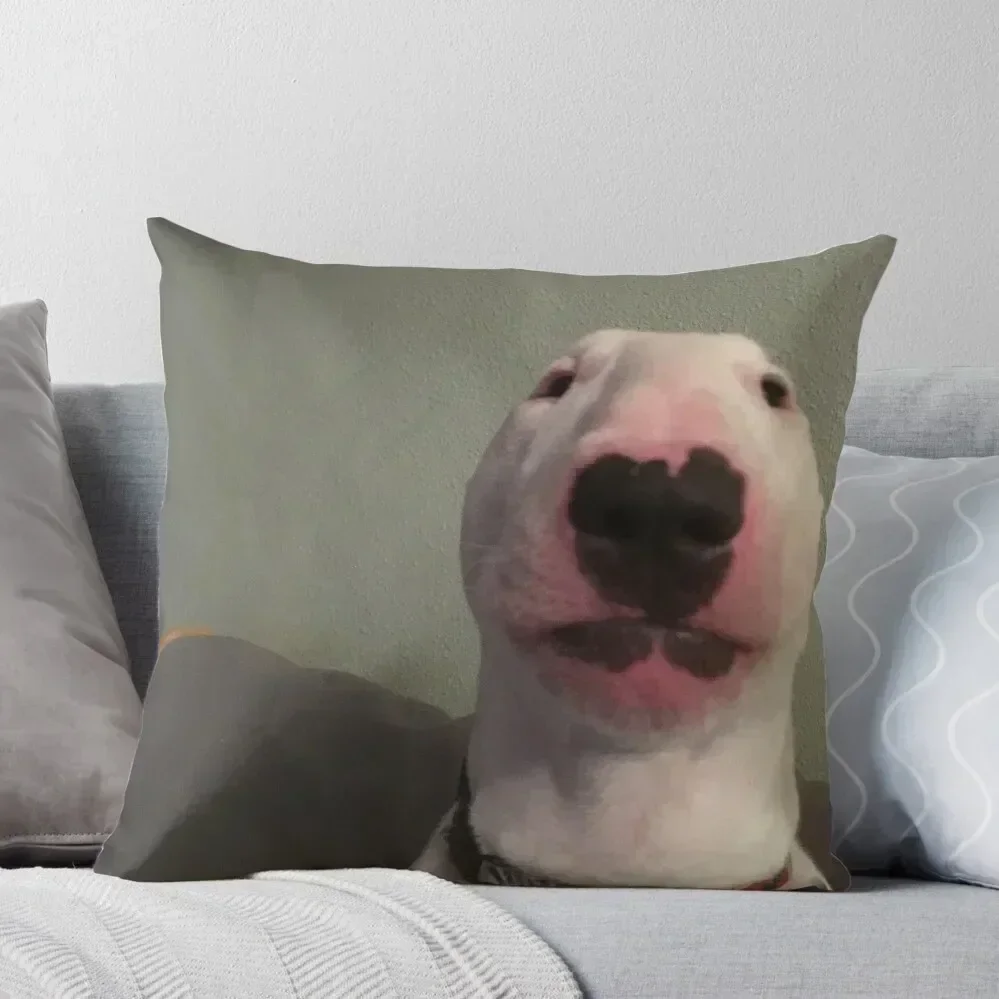 

@PupperNelson: Walter Original Throw Pillow autumn decoration christmas decorations 2025 Ornamental Pillow pillow