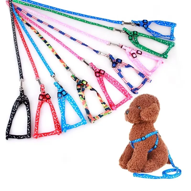 #9 Budget Puppy Leads for Smart Shoppers