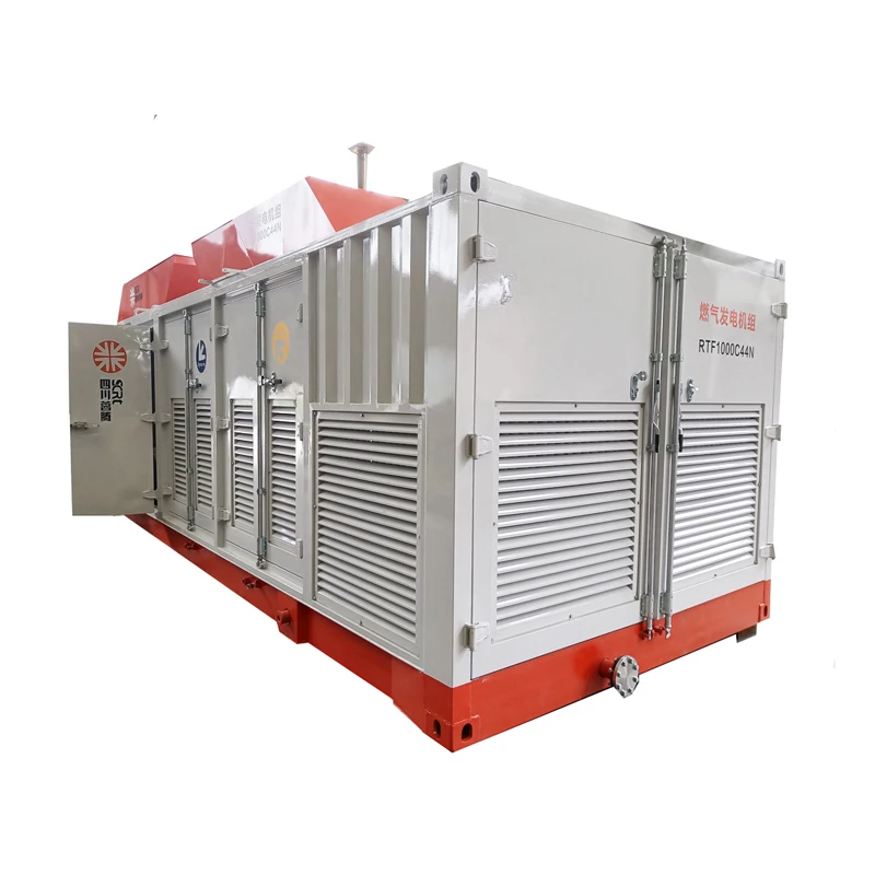 Aangepaste 1Mw Gas Generator Set Bio Cng Natuurlijke 5Mw Natuurlijke
