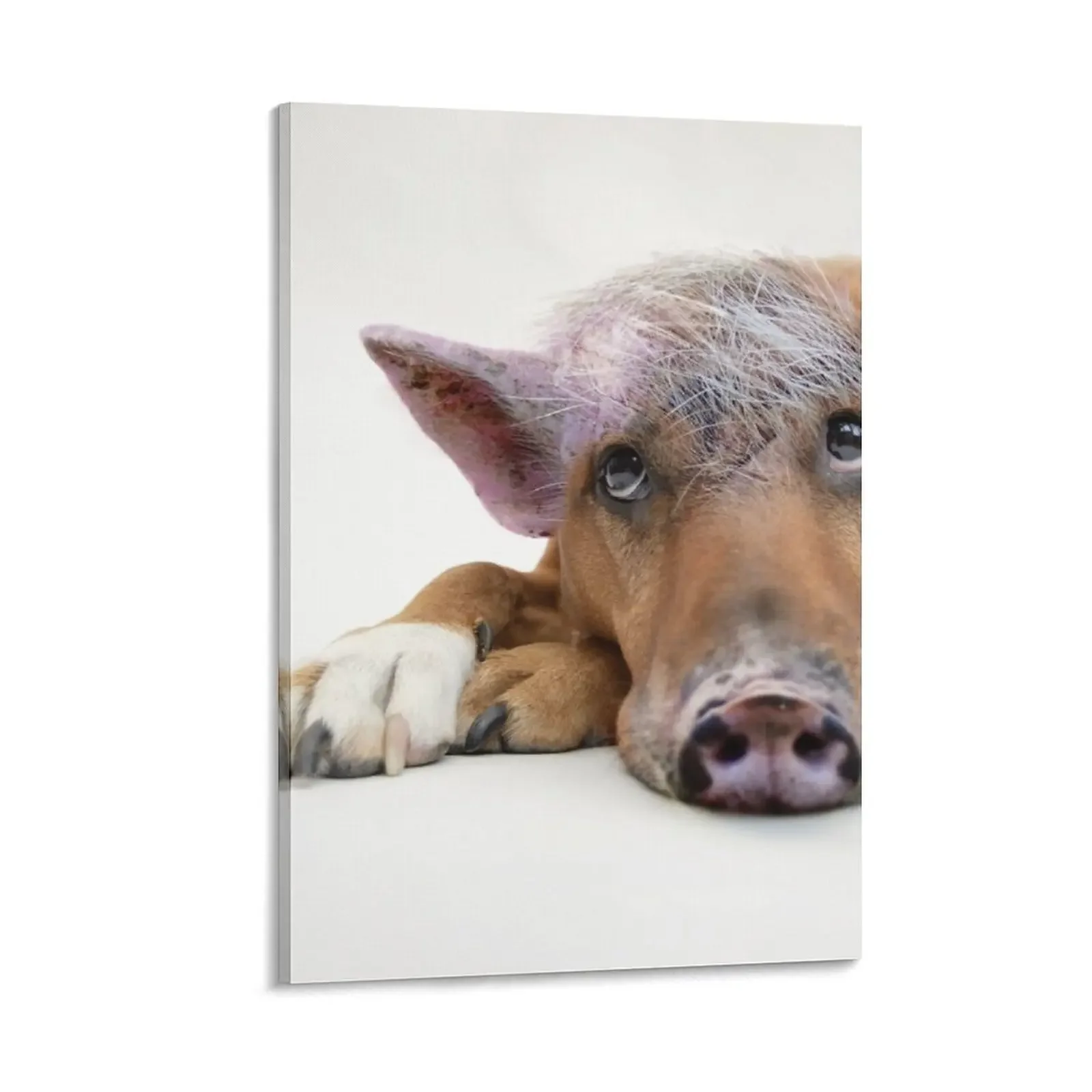 

Pig Dog Canvas Painting decorative items for home room decoration
