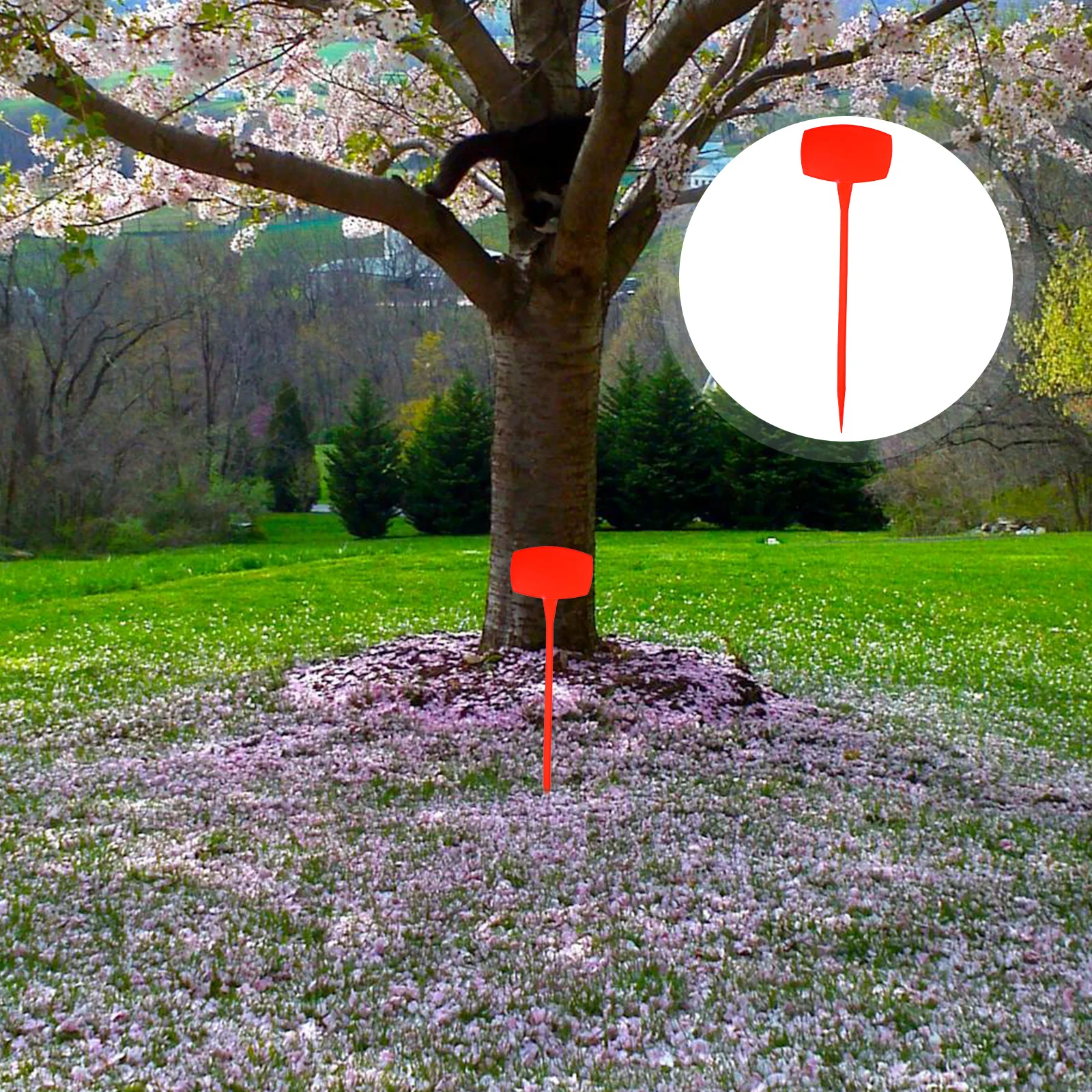 

10pcs Plant Waterproof Reusable Garden Markers Nursery Flower Tagging 180° Foldable Durable Plant Marker Size L Red
