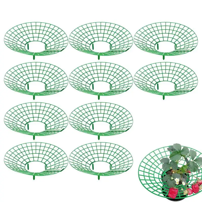 

10 Pack Strawberry Stand Plant Supports with 3 Sturdy Legs Strawberry Growing Racks Protector Frame Holder Cage from Mold