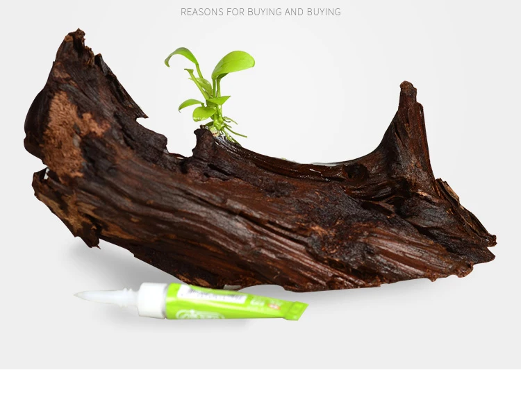 Ista الغراء الفوري Aquascaping الغراء النباتات المائية الخشب الميت الطحلب البحر المرجان الحجر الطازج خزان حوض السمك يمكن استخدامها في الماء أو لا