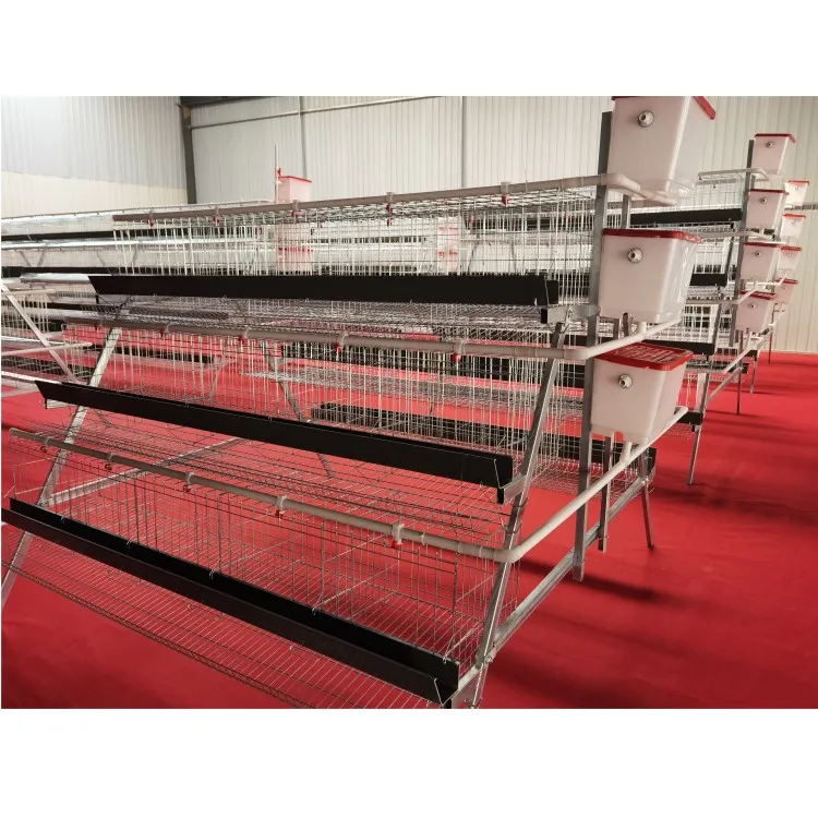 

Best Quality Good Price Egg Laying Hens Farming Chicken Layer Battery Cage for Sale a Type Broiler Cage