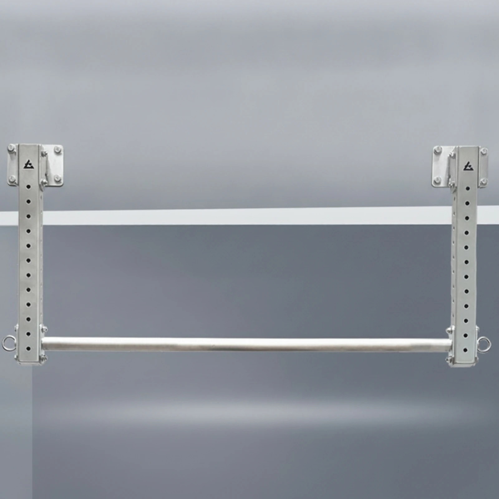 Pull-up Bar with Hanging Rings - Home Bar And Gym ulasan dan harga