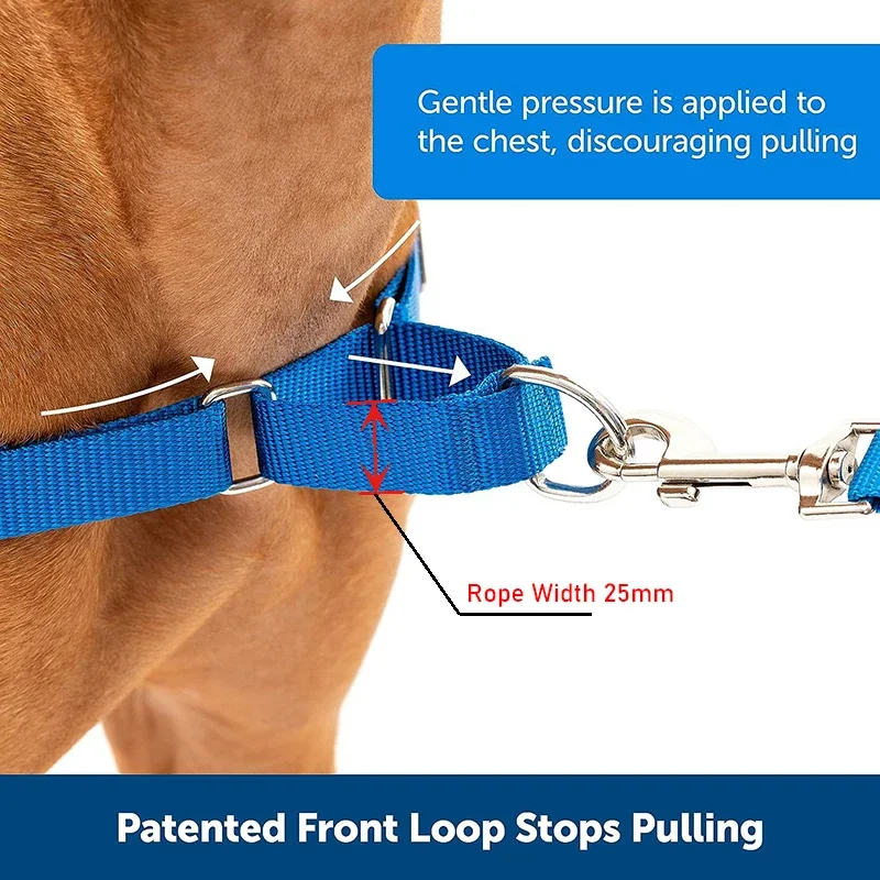 Martingale Dog Collar Heavy-Duty Training Collar Durable Nylon Service Dog Collar for Small Large Dogs Control Safe Anti-Escape