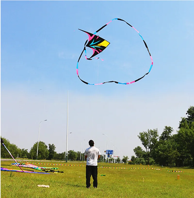 free shipping large delta kites flying for adults kites reel professional wind kites factory pocket kite sports toys eagle kite