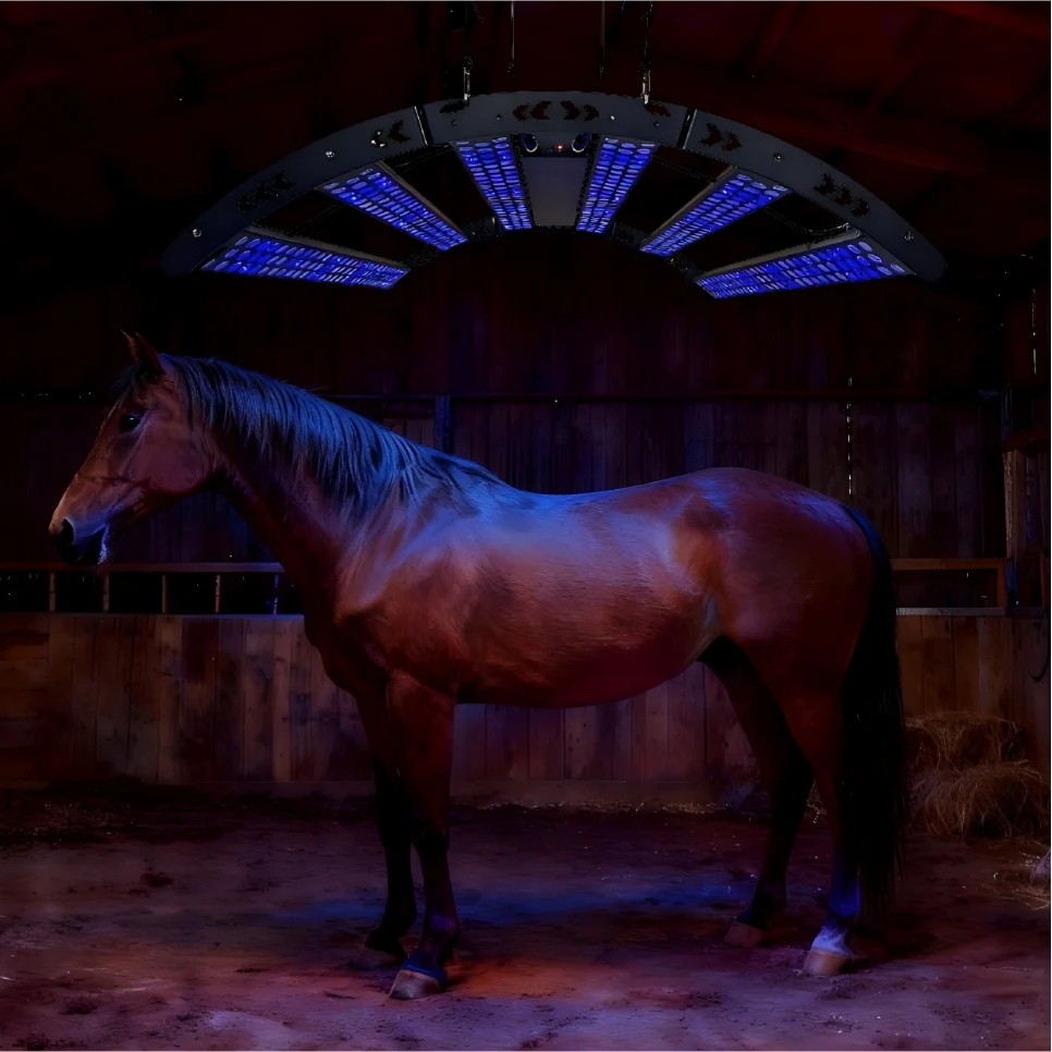 Wholesale 660nm 850nm Led Red Light Near Infrared Pet Therapy for Horse Panel Leds Hanging Pet Horses Equine Equipment