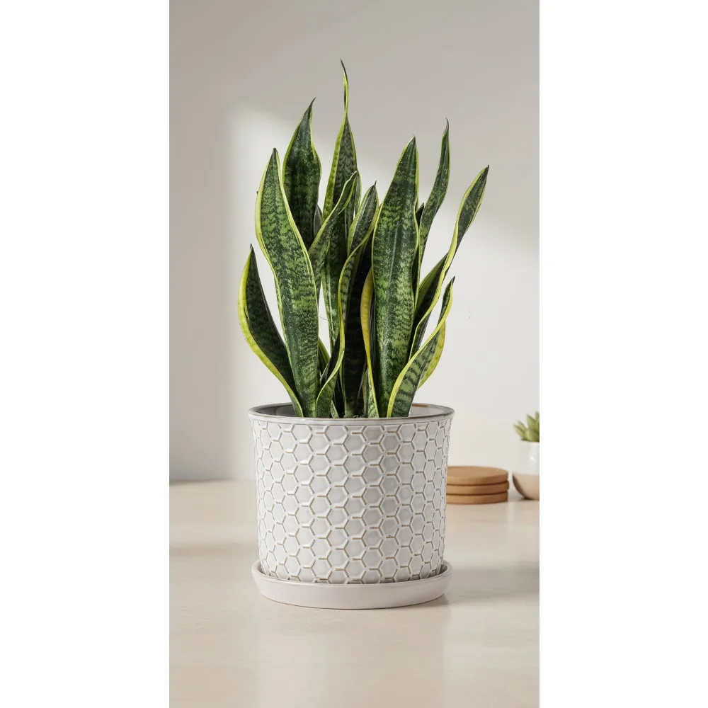 

8 Inch Ceramic Planter with Drainage Hole & Saucer - Honeycomb Design for Indoor Outdoor Plants Home Office