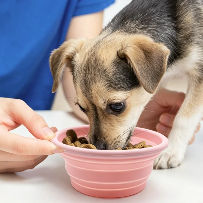 Tragbare 350ML Zusammenklappbare Haustier-Schüssel Faltbare Hunde- und Katzen-Wasserschale Reise-Outdoor-Welpen-Trink- und Fütterungsschüssel – Detail 4