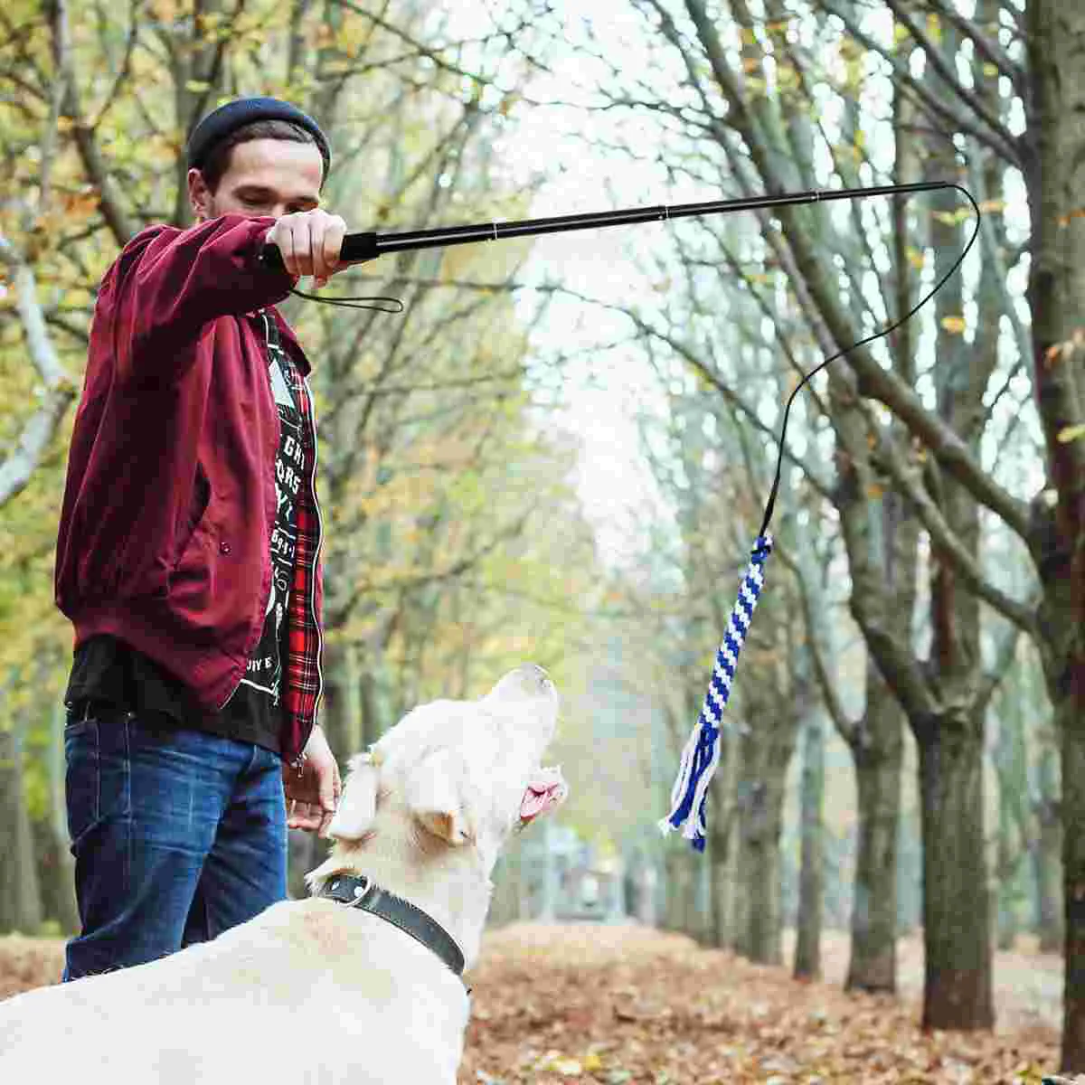 Retractable Dog Interactive Stick Toys Extendable Flirt Pole Funny Chasing Tail Teaser And Exerciser For Pets Dogs Toy Pet Toy