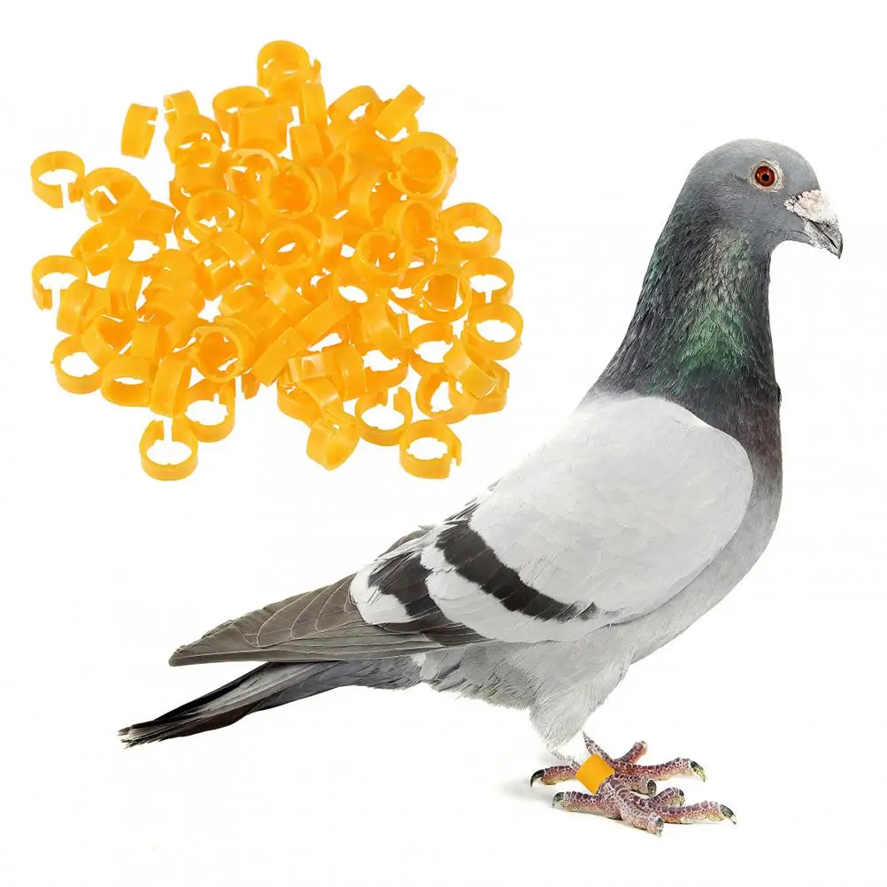 200 Pcs Chicken Toys Bird Identification Rings Label Foot Parrot Baby