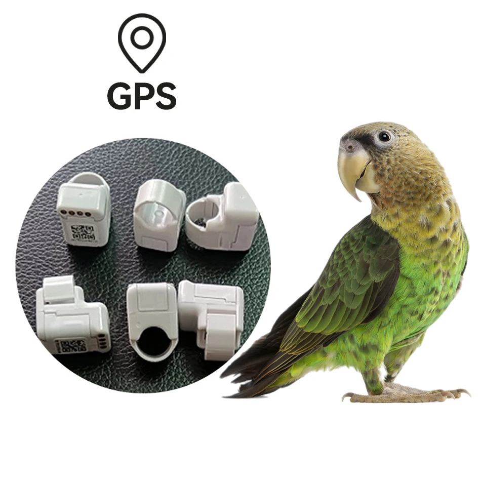 

GPS Bird Tracker Parrot Pigeon Gps Tracking Foot Ring For Bird Outdoor Flying