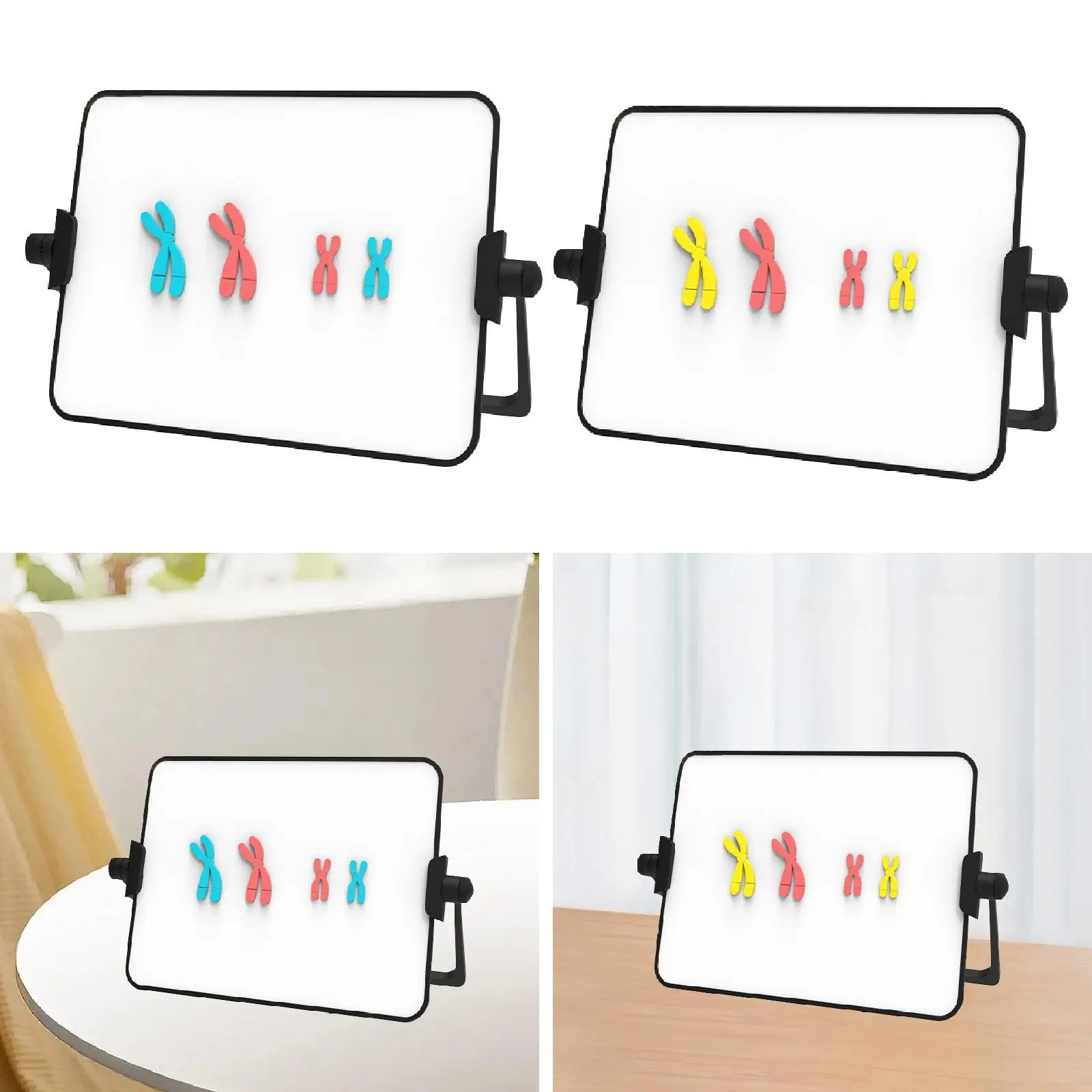 Meiosis Chromosom-Wechselmodellbausatz, biologische Wissenschaft, abnehmbares Demonstrationsinstrument, praktisches pädagogisches Lernwerkzeug