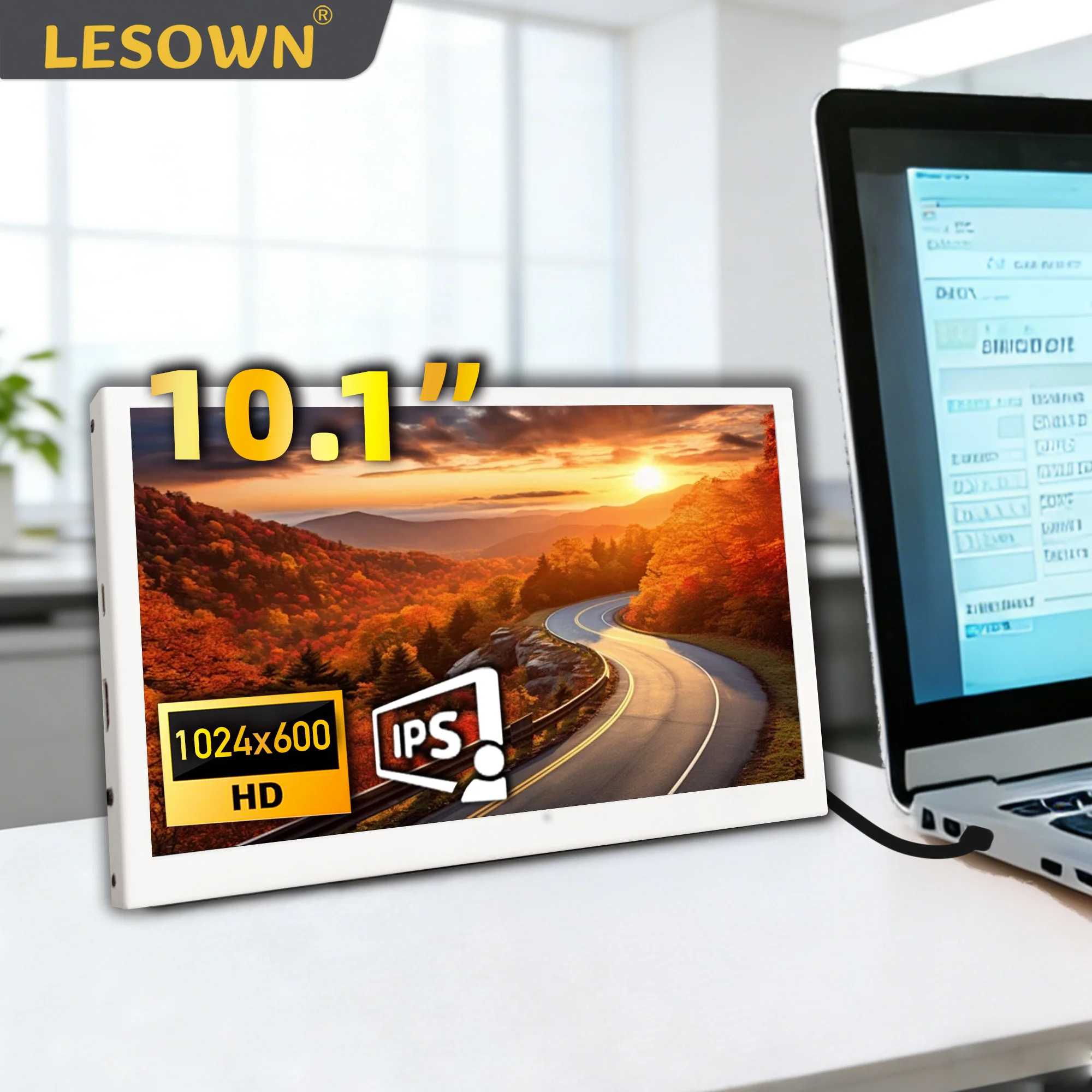 LESOWN Auxiliary Monitor 10.1 Inch Compact Display 1024x600 IPS LCD Extended Monitor Additional Screen for PC Laptop