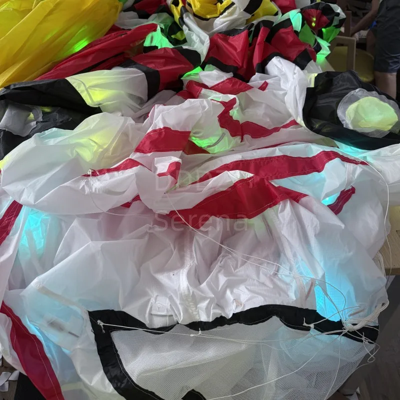 DDDZ 8m LED Lionfish noche cometa línea lavandería 40D Ripstop Nylon luz nocturna mostrar cometas para adultos con control remoto