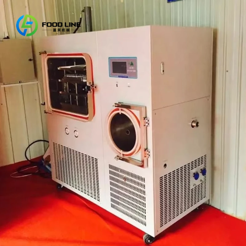 Customized Commercial Multi‑color Vacuum Freeze Dryer Home Freeze Dryer Fruit Vegetable Snack Food Lyophilizer
