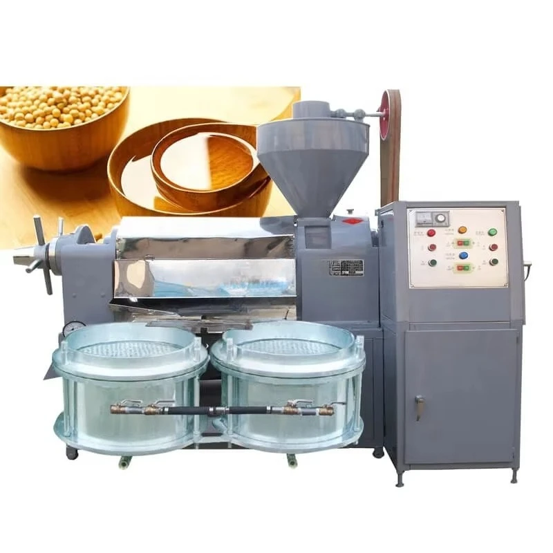 Customizable 2025 Multifunctional Oil Seed Press Machine Peanut Sunflower Soybean Cold Press Hot Press with Oil Filter System