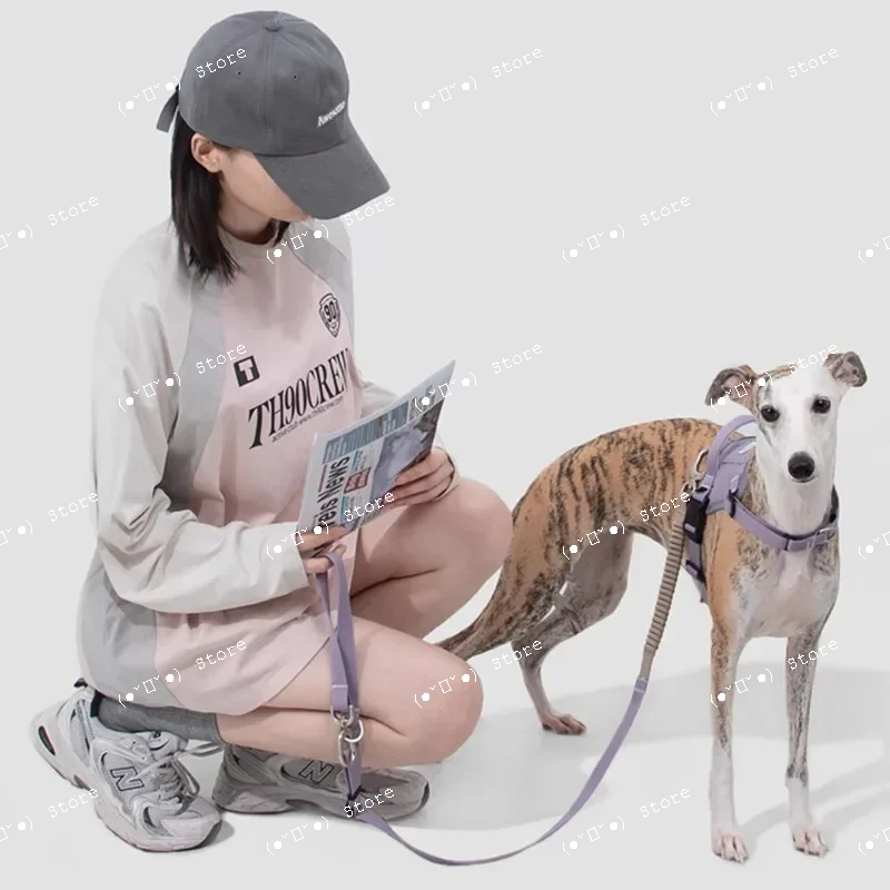 

Взрывозащищенный эластичный амортизирующий поводок для собак мелких и крупных пород, шлейка для шнауцеров, корги, питбулей, аксессуары для собак, товары для животных