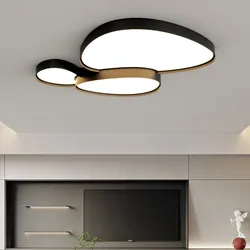 Modern Simplicity Led Ceiling Lights Dimmable for Living Dining Room Bedroom Loft Home Decor Indoor Lighting Lusters Luminaires