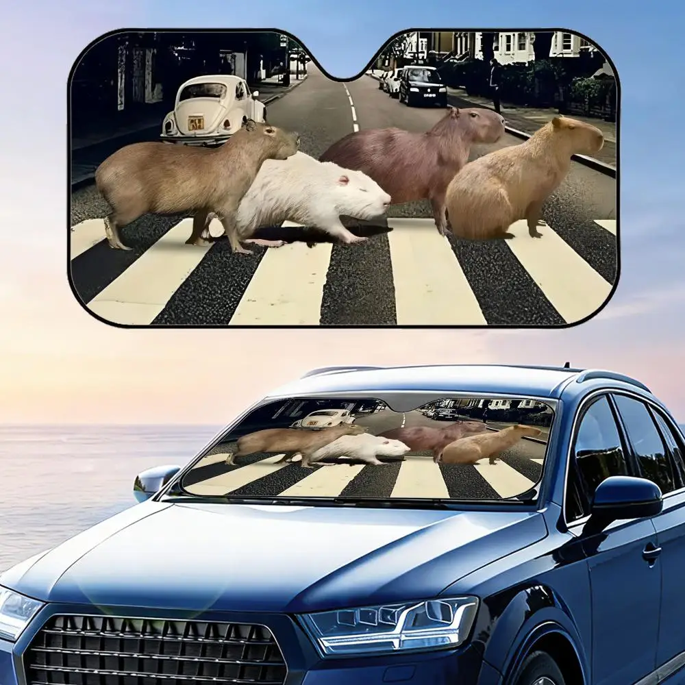 

Солнцезащитный козырек для автомобиля с изображением капибары, складной, для лобового стекла, защита от УФ-излучения, отражающий, теплоизоляционный, многоразовый чехол