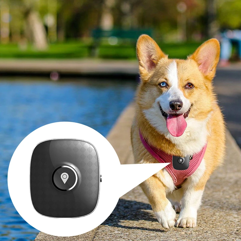 Mini 2g 3g 4g GSM Tracker Anti-lost GPS Tracking Device For Kids Elderly Dogs Cats Pets Animals