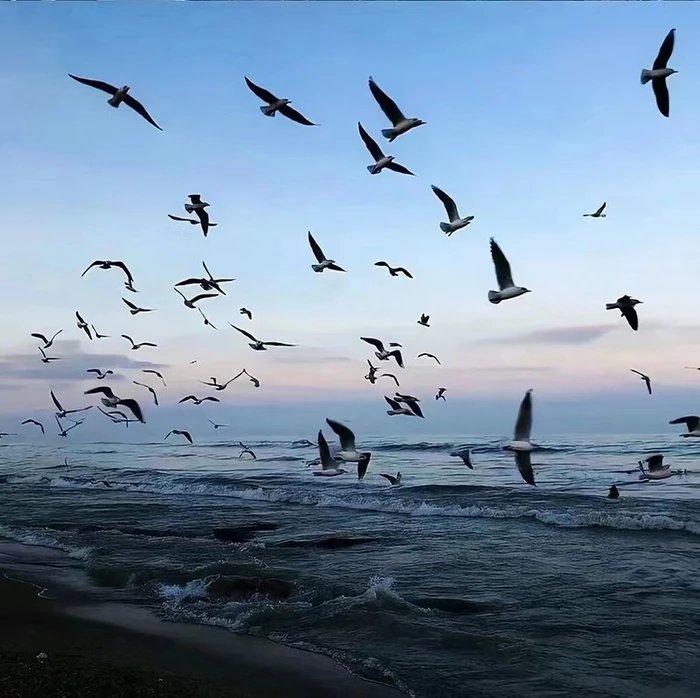 For MJX Hyper Go RC Car Parts Remote Control 14209 1/14 Off road vehicle beach bike accessories/E45AZ electrically adjustable