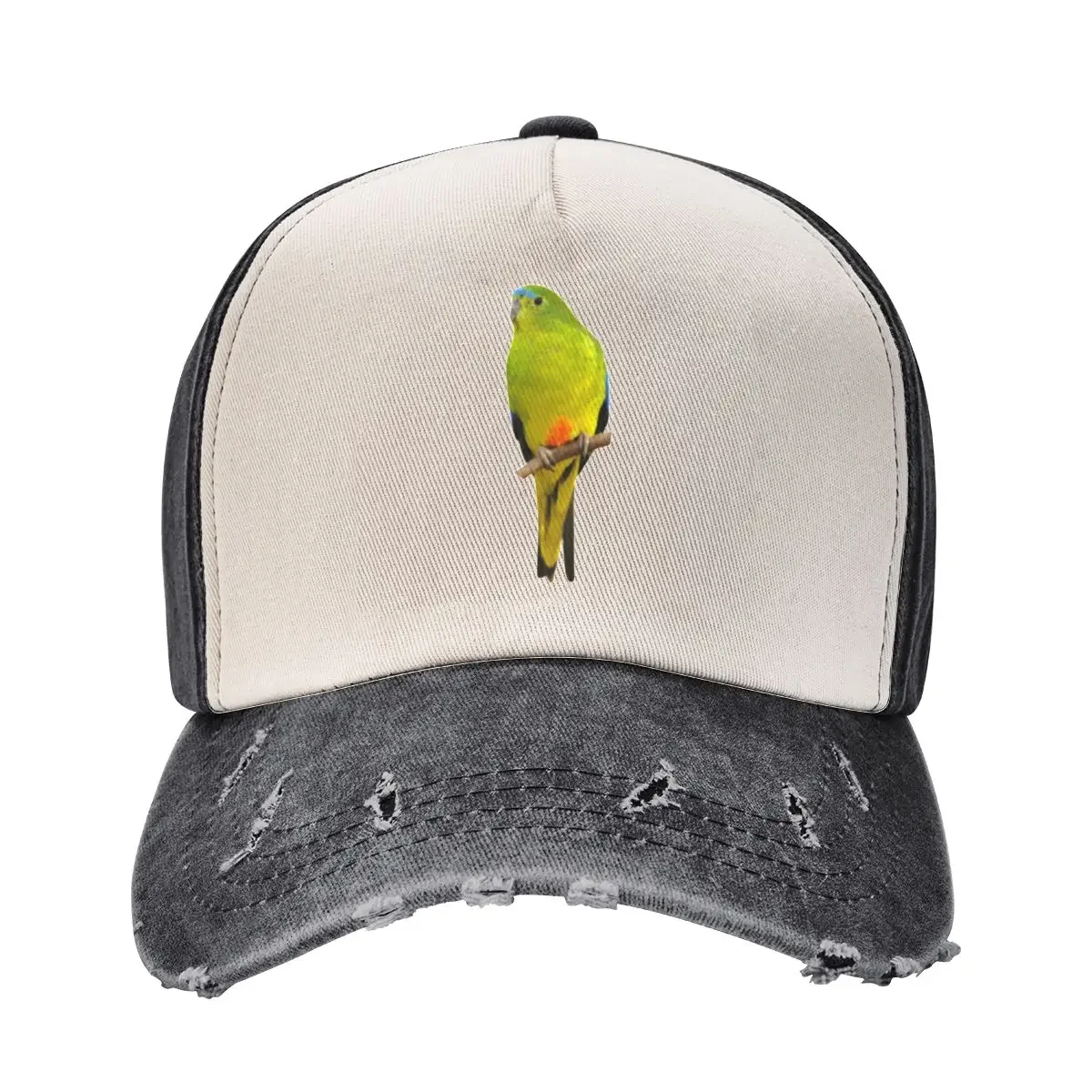 Orange-bellied Parrot Baseball Cap Hip Hop Hat Baseball Cap derby hat Designer Man Women's