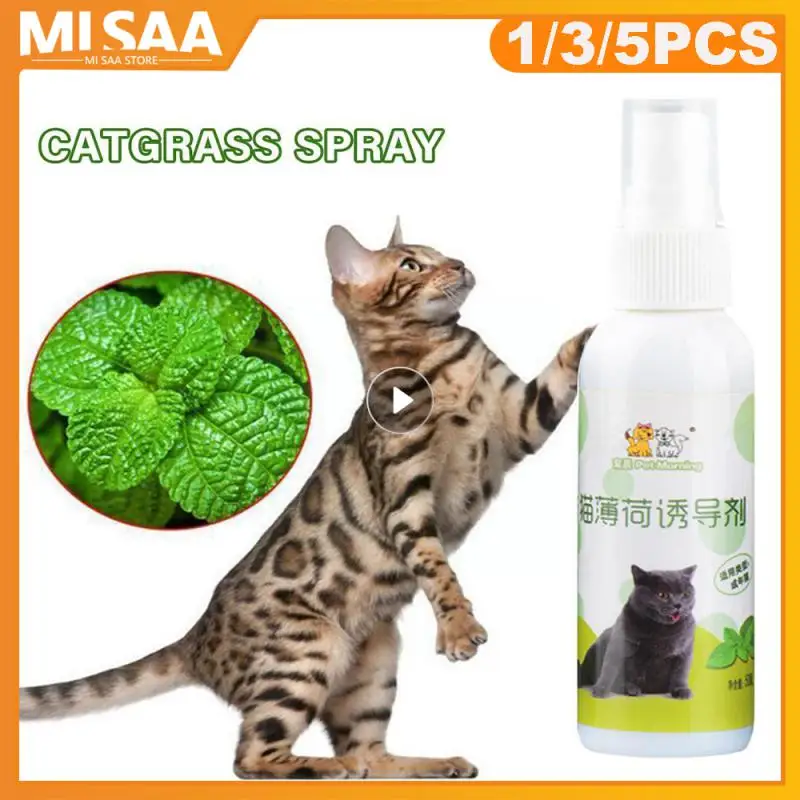 

Cat Catnip Spray Natural Health Long Term Effect Scratching Pad Inducer Cat Mint Training Toys For Cats Kitten Cat Accessories