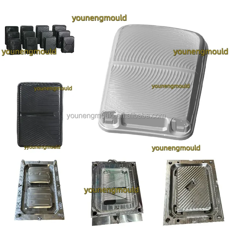 China Professional Making Injection Plastic Trolley Case Luggage Bags Mold