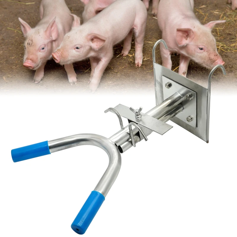 

Livestock Stainless Steel Castration Rack for Small Animal Castration Castrator Piglet Castration Equipment Tool