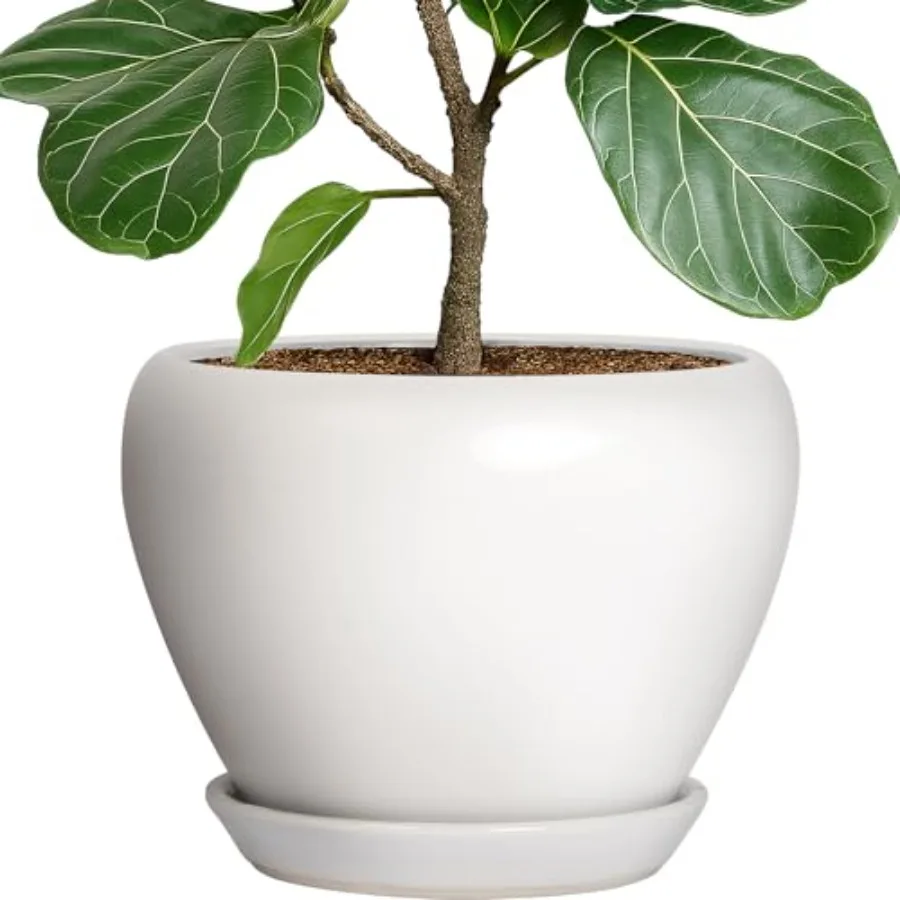 

Керамический горшок для растений - круглый цветочный горшок для комнатных и уличных растений, большой, с дренажными отверстиями и поддонами, белый