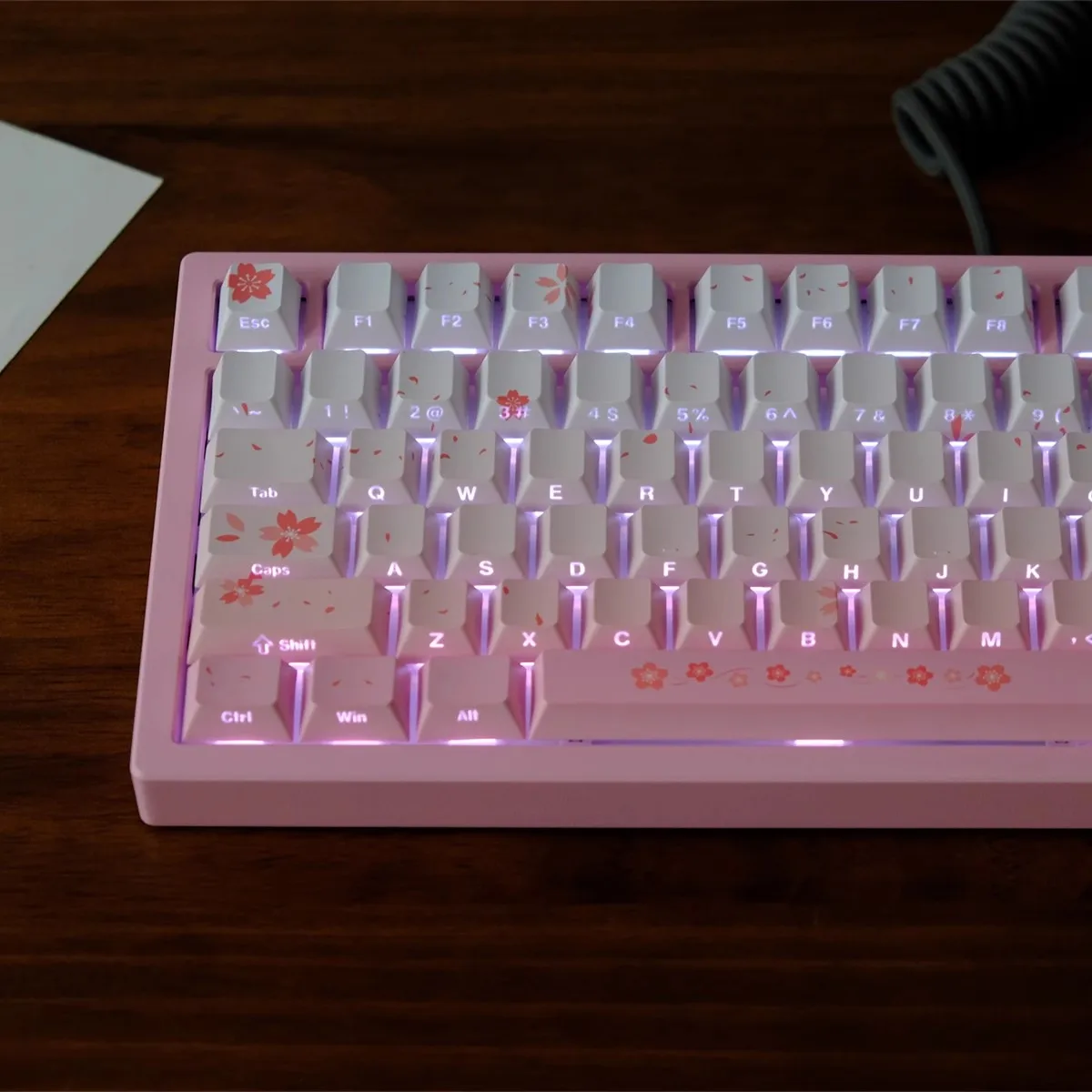 135 Keys/set Sakura Gradient Pink Keycaps PBT Dye Subbed Side Printed Backlit Key Caps Cherry Profile Keycap For Wooting 60 75