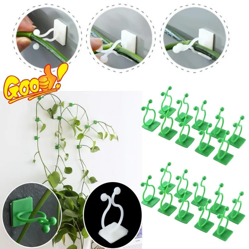 Self adhesive plant climbing wall clips Invisible Vine Buckle Hook Fastener Tied Fixture Buckle Hook Cables Wire Fixed Organizer