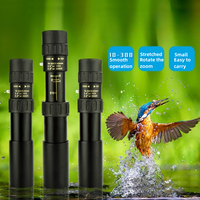 10-300x40 Zoom Telescope HD Portable Strong Binoculars Long Range Professional Monocular Low Night Vision For Hunting