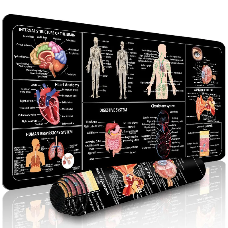 Human Anatomy Cheat Sheet Extended Mouse Pad, Non-Slip Desk Mat for Study Office Gaming, Gift for Researchers Gamers