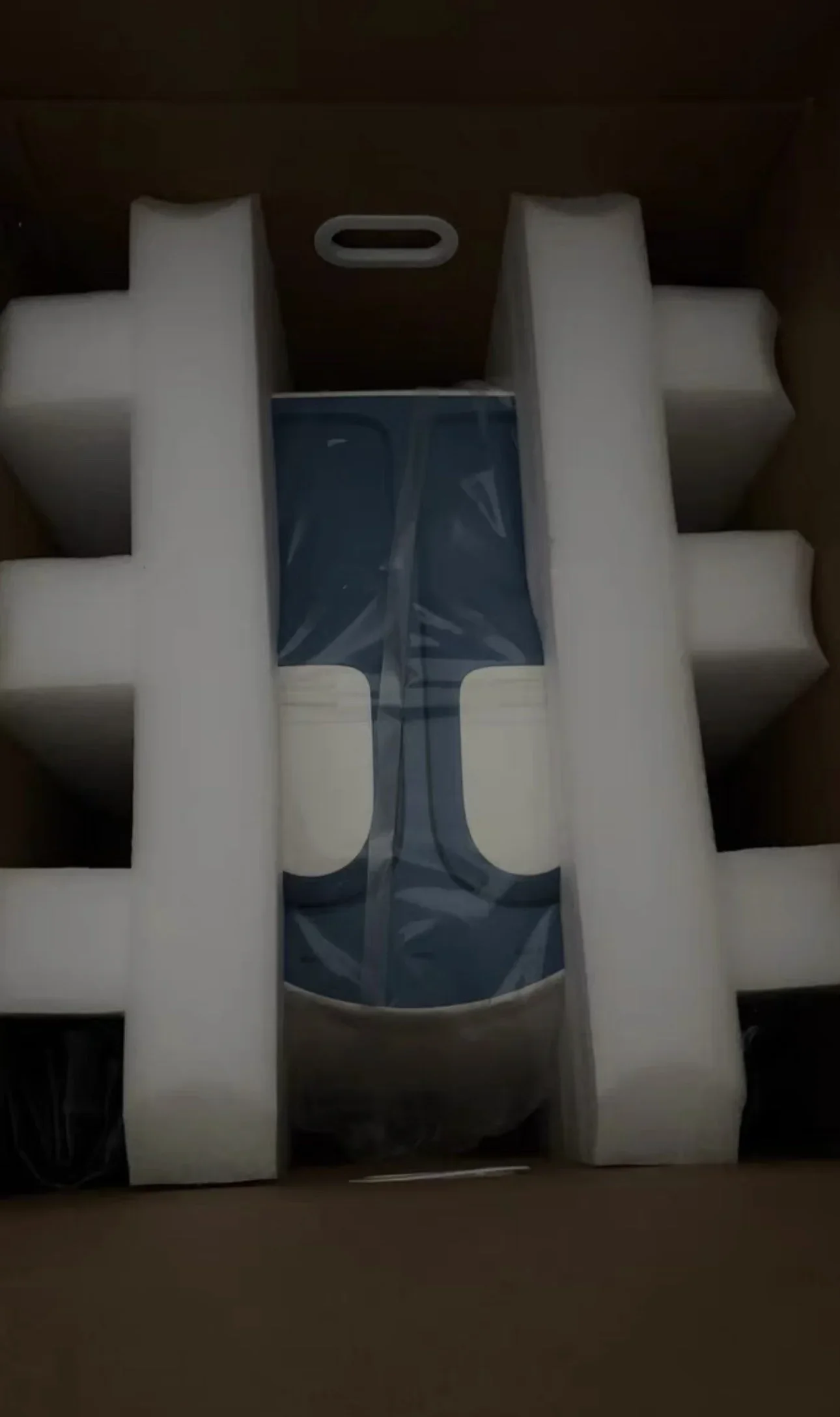 الإسفار الكمي PCR الإسفار الكمي PCR #4