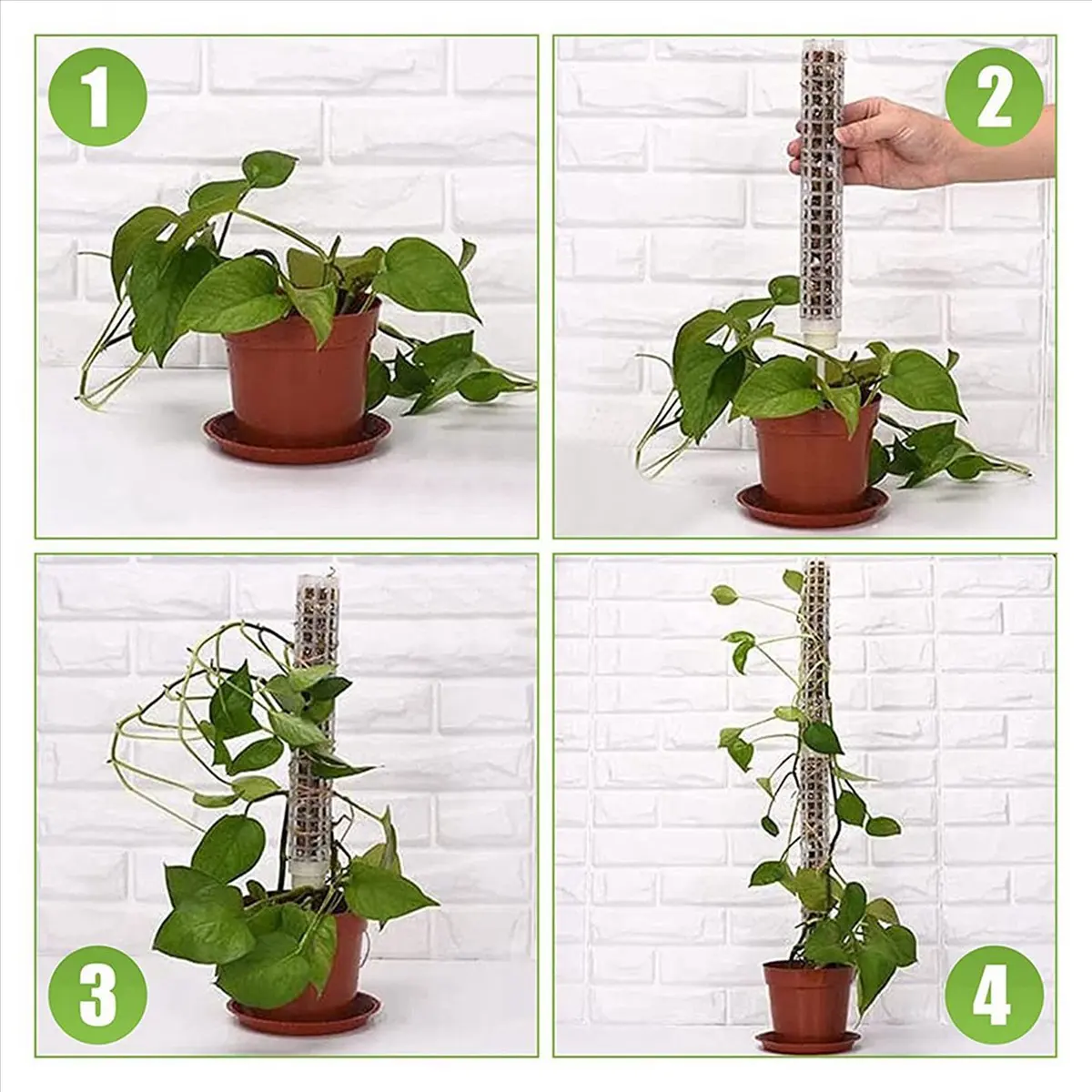A06K 12Pcs Plastic Moss Pole 15 Inch Transparent Moss Mesh Pole Small Moss Pole Stake for Plants Monstera Potted Plants