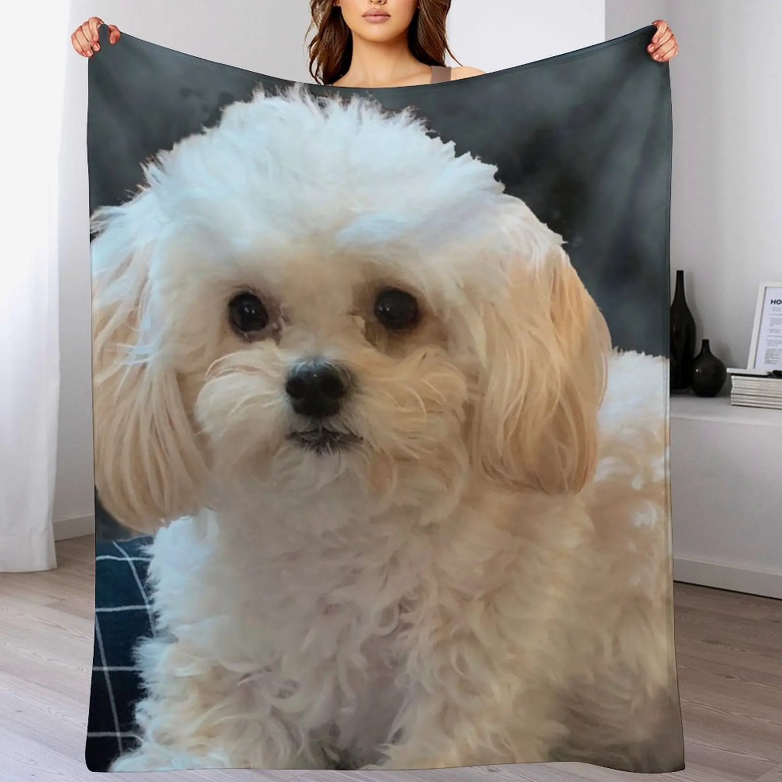 Maltipoo Love. Beautiful little dog with long silky white hair. Throw Blanket Warm Throw Blanket Gift for Anniversary