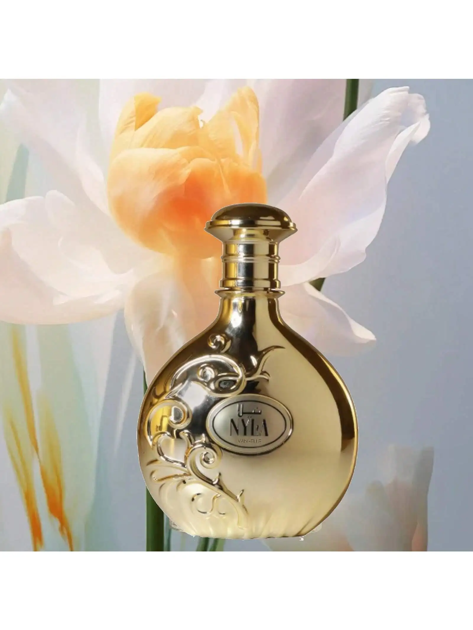 

Vanilla Caramel Perfume. Vani 100Ml/3.4Oz It Is an Ideal Gift Choice (Birthday Presents)