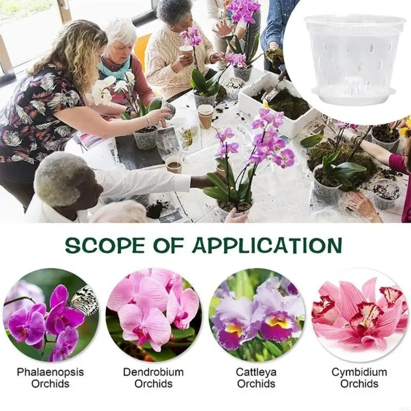 5 Pieces See Through Starter Holders For Flower Raising Including Efficient Water Drainage J0MC